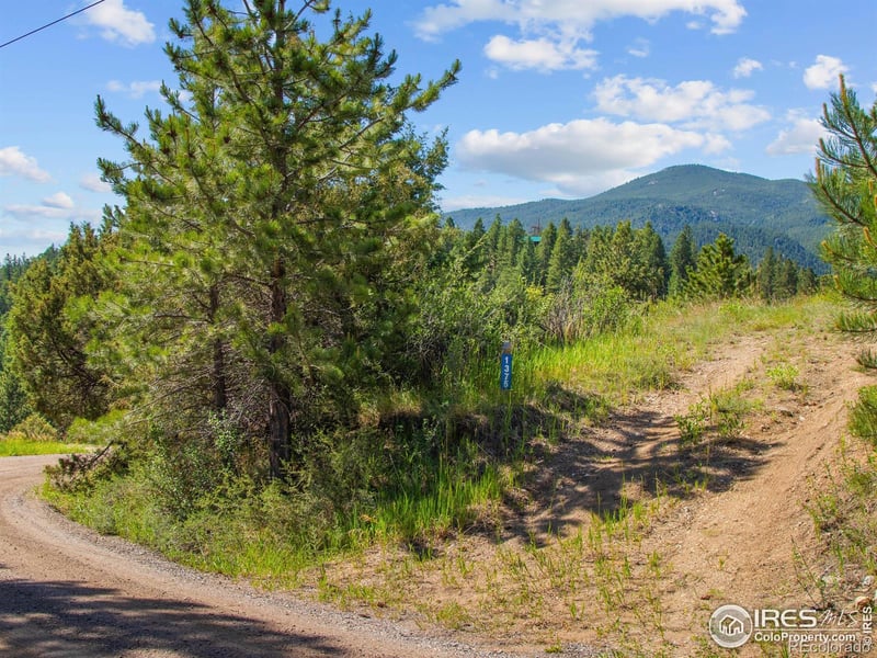 1375 Streamside Dr, Glen Haven, CO 80532