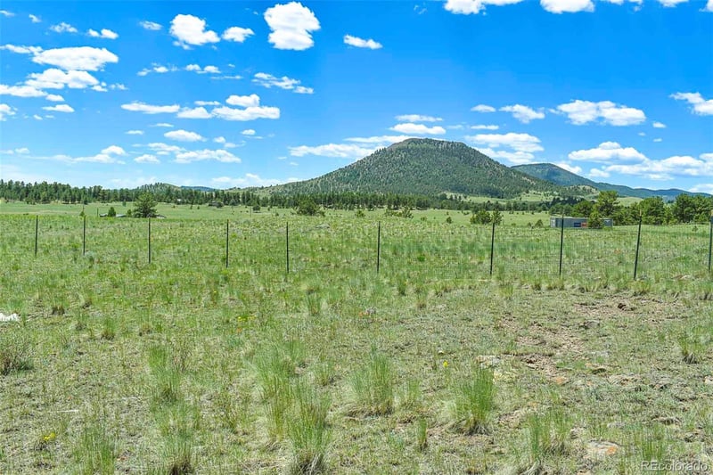 56 View Ln, Guffey, CO 80820