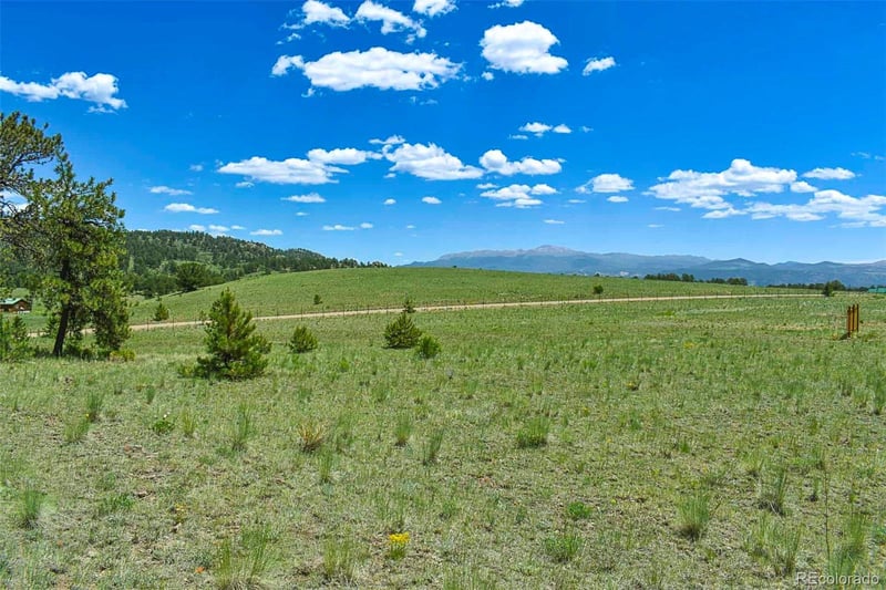 56 View Ln, Guffey, CO 80820