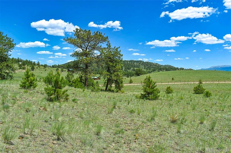 56 View Ln, Guffey, CO 80820