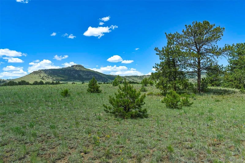 56 View Ln, Guffey, CO 80820