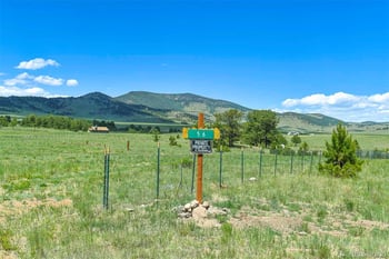 56 View Ln, Guffey, CO 80820