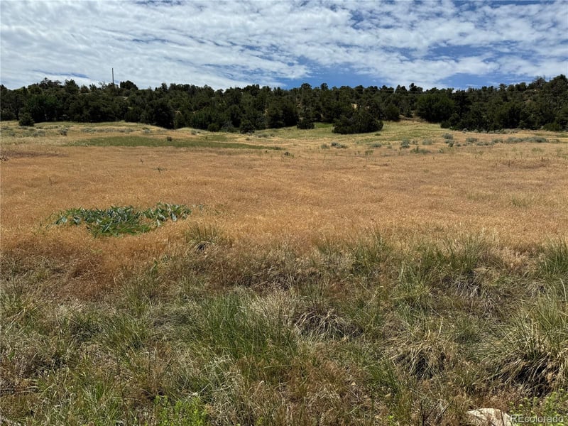 Badger Rd, Walsenburg, CO 81089