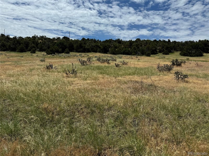 Badger Rd, Walsenburg, CO 81089