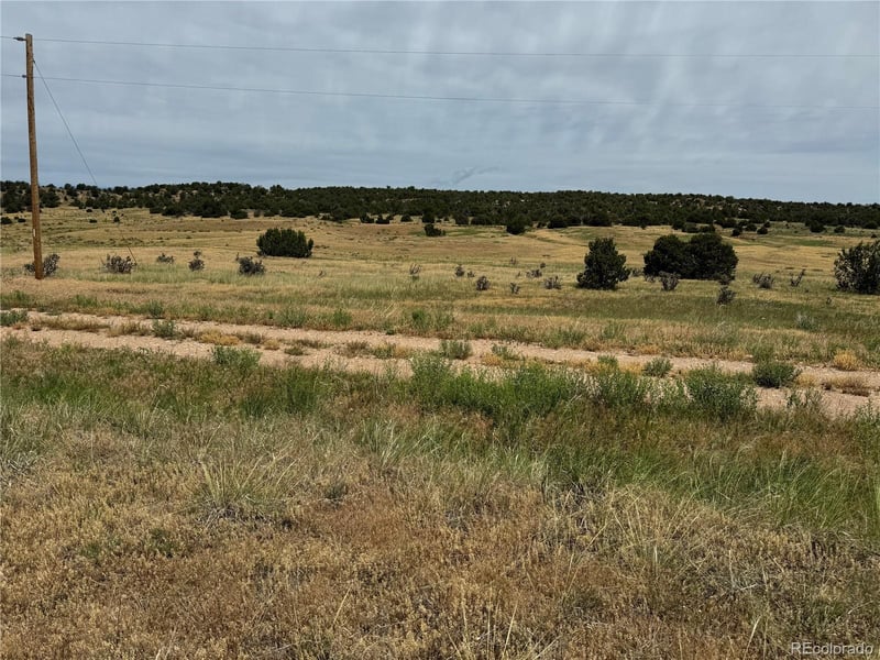 Badger Rd, Walsenburg, CO 81089
