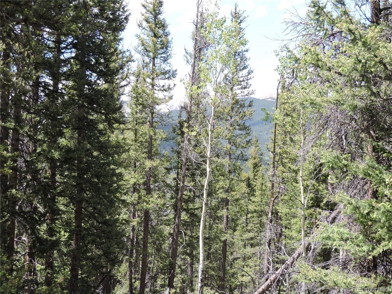 00 Georgia Pass Lookout, Jefferson, CO 80456