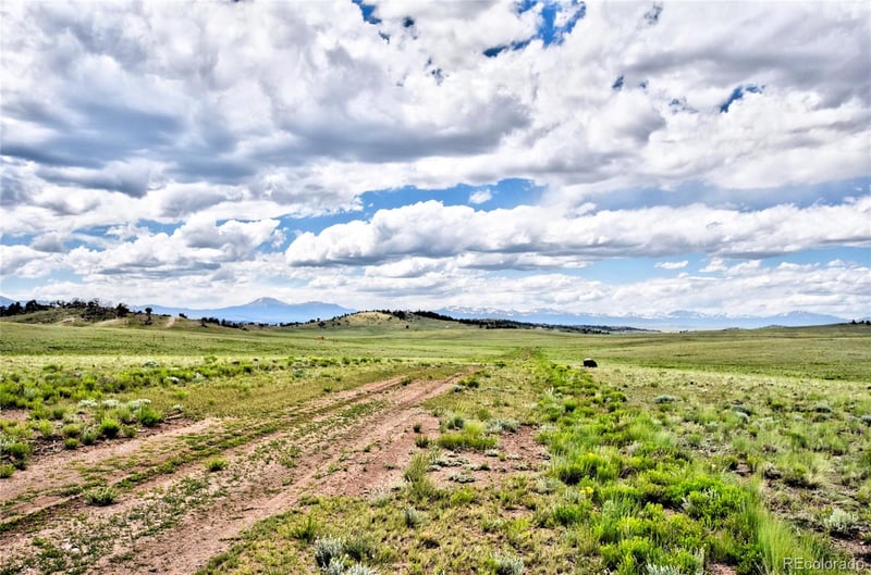 1238 Chicha Rd, Hartsel, CO 80449