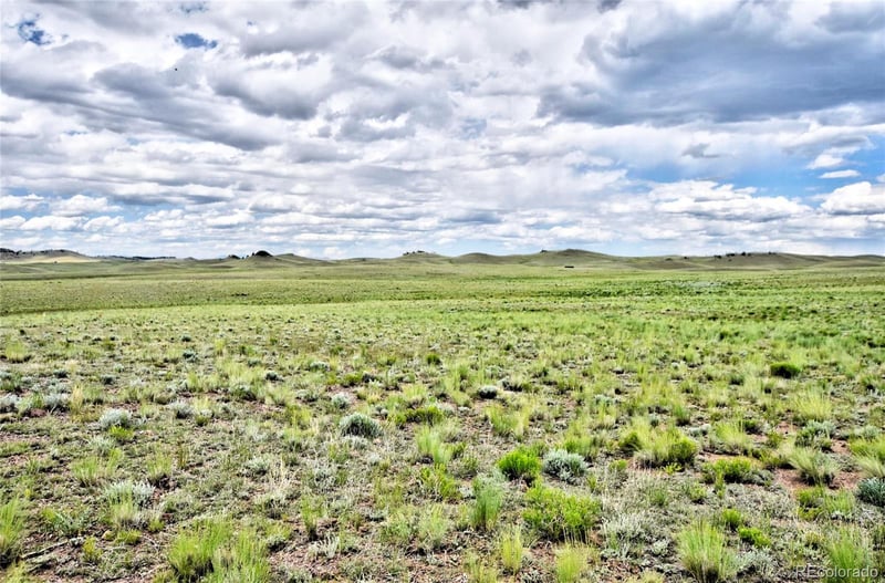 1238 Chicha Rd, Hartsel, CO 80449