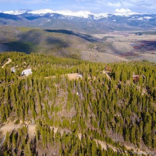 1000 County Road 855 Lot 65, Tabernash, CO 80478