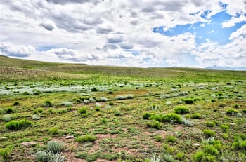 313 Watonga Trl, Hartsel, CO 80449