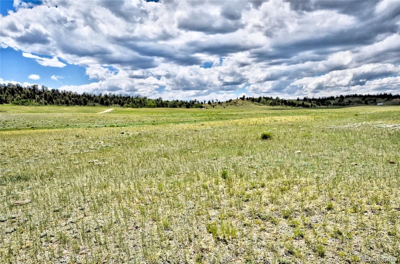 000 Black Hawk Rd, Hartsel, CO 80449