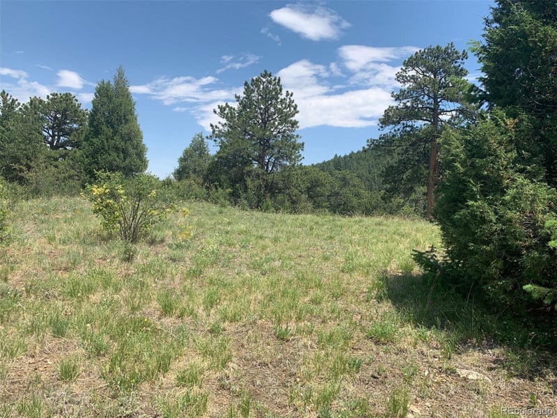 00 Douglas Mtn Dr, Golden, CO 80403