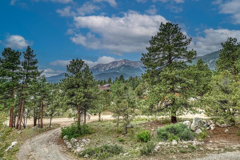 18165 Alta Vista Dr, Buena Vista, CO 81211