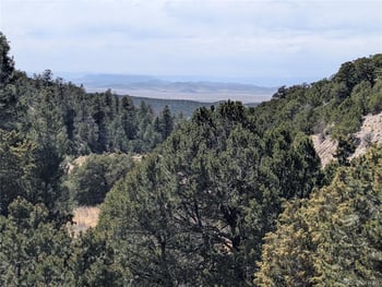 Lot 1593 Jaidi Rd, Fort Garland, CO 81133