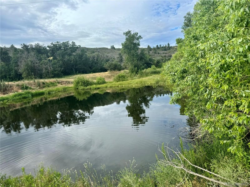 5790 Pine Cliff Ave, Sedalia, CO 80135
