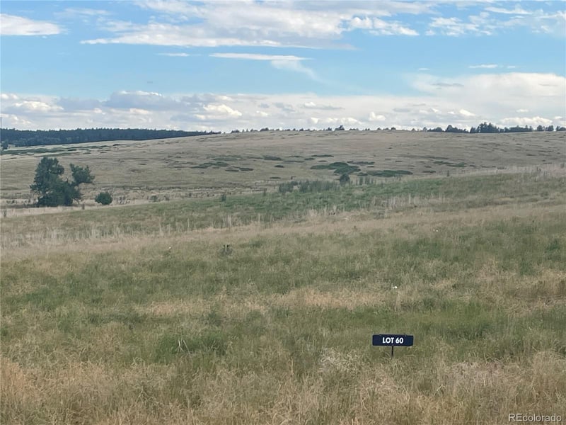 0 Wendling Lot 60 Trl Lot 60, Kiowa, CO 80117