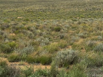 Lot 18 Frontera Rd, San Luis, CO 81152
