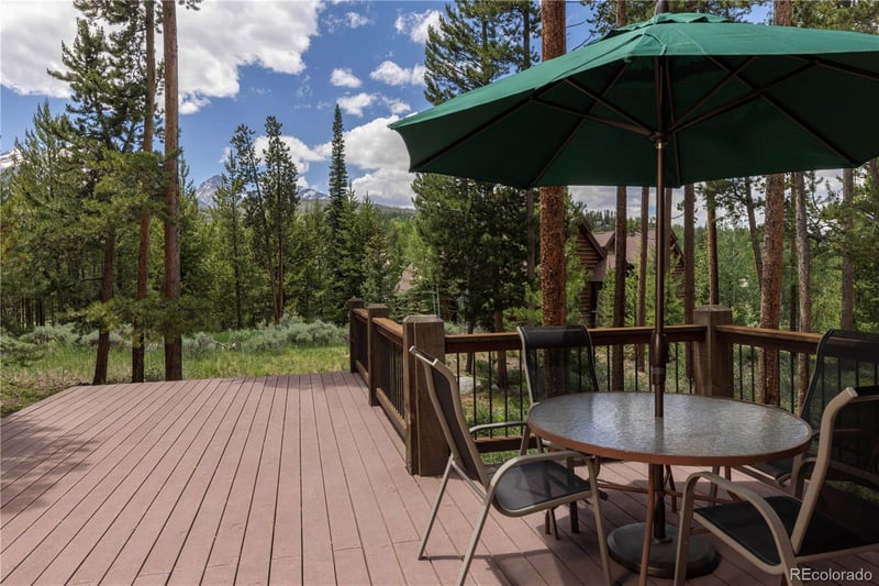 1755 Red Hawk Rd, Silverthorne, CO 80498