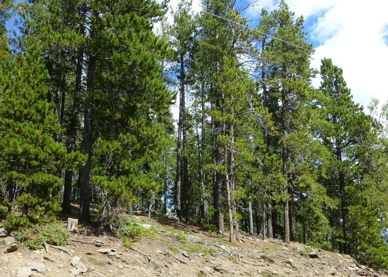 000 Lodgepole Dr, Evergreen, CO 80439