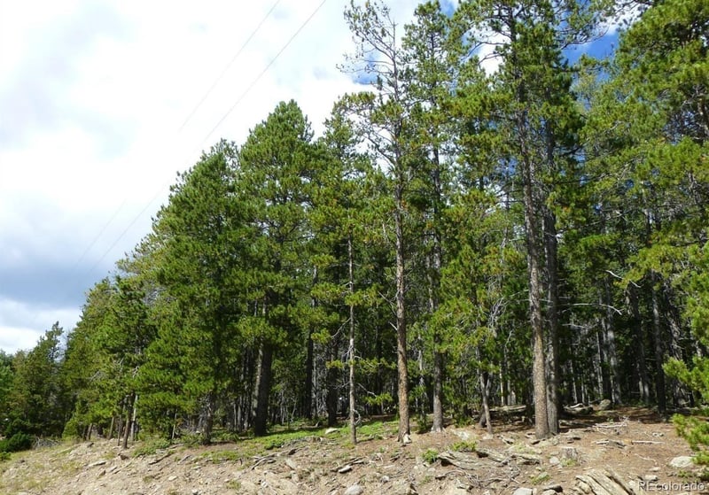 000 Lodgepole Dr, Evergreen, CO 80439