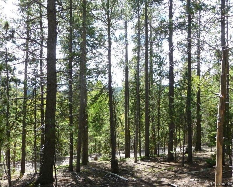 000 Lodgepole Dr, Evergreen, CO 80439