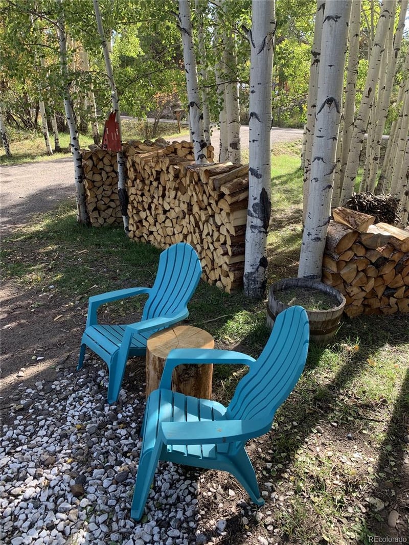 328 Fir Dr, South Fork, CO 81154