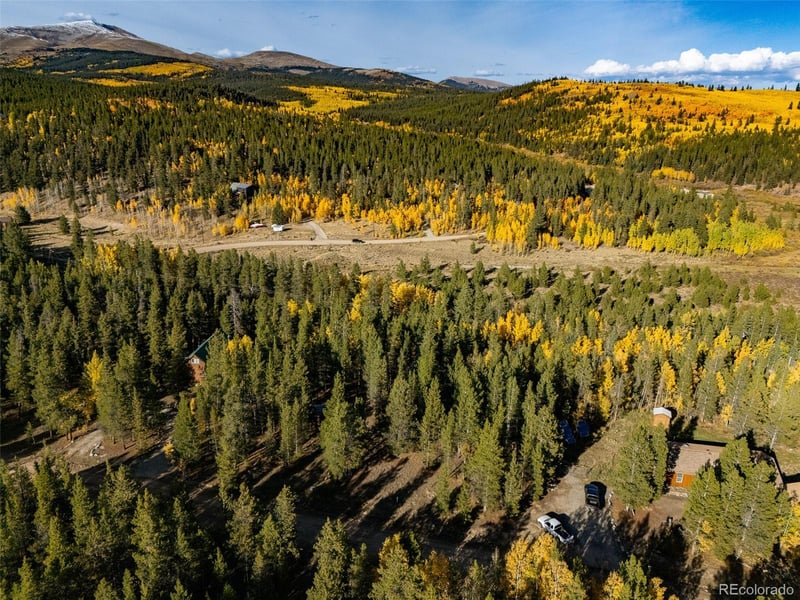 250 Ski Doo Rd, Fairplay, CO 80440