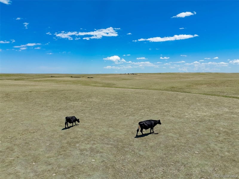 0 County Road 108, Ault, CO 80610