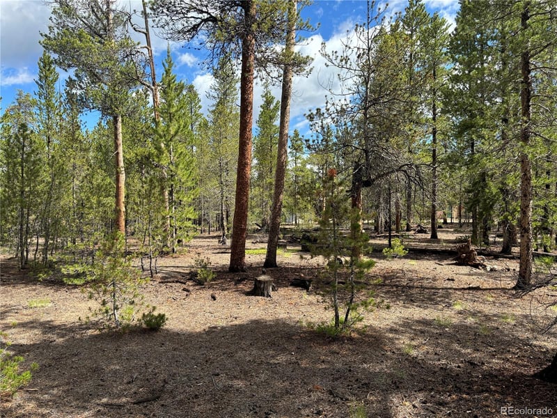 399 Fir Dr Lot 124, Twin Lakes, CO 80461