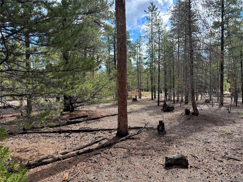 399 Fir Dr Lot 124, Twin Lakes, CO 80461