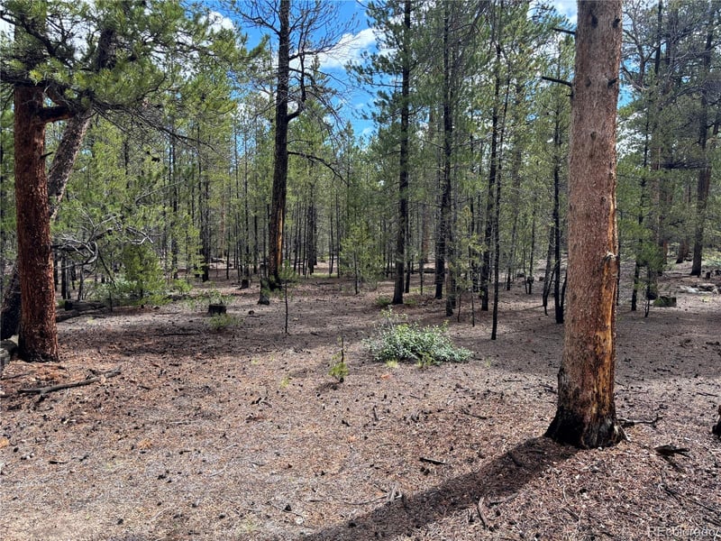 399 Fir Dr Lot 124, Twin Lakes, CO 80461