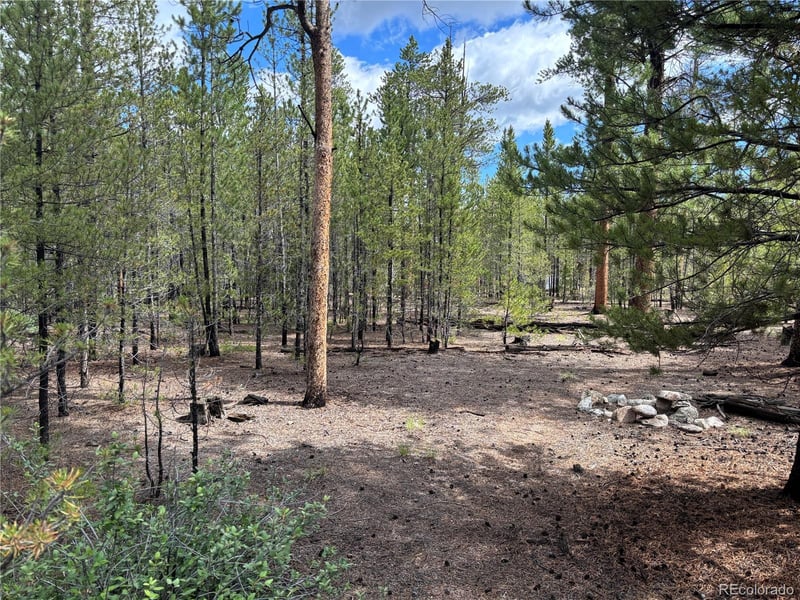399 Fir Dr Lot 124, Twin Lakes, CO 80461