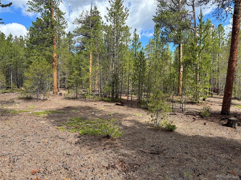 399 Fir Dr Lot 124, Twin Lakes, CO 80461