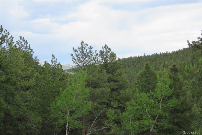 00 Come And See Mine, Central City, CO 80427