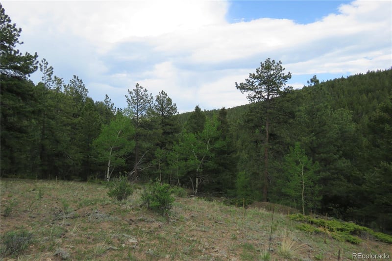 00 Come And See Mine, Central City, CO 80427