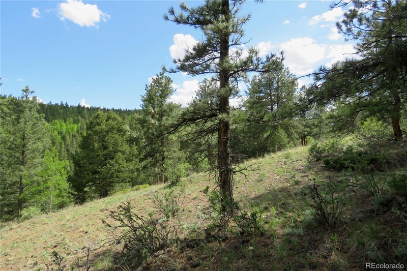 00 Come And See Mine, Central City, CO 80427