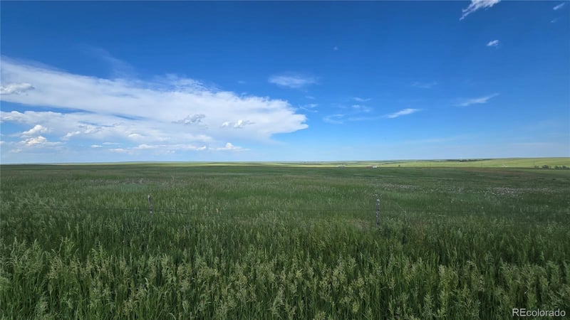29380 County Road 153, Agate, CO 80101