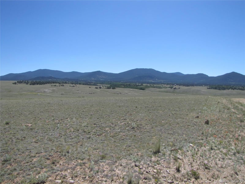 915 Olympic Cir, Hartsel, CO 80449