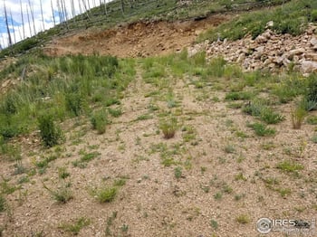 151 Black Mountain Ct, Livermore, CO 80536