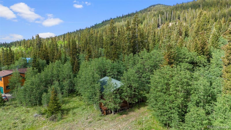 2895 River Dr, Alma, CO 80420