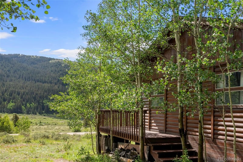 2895 River Dr, Alma, CO 80420