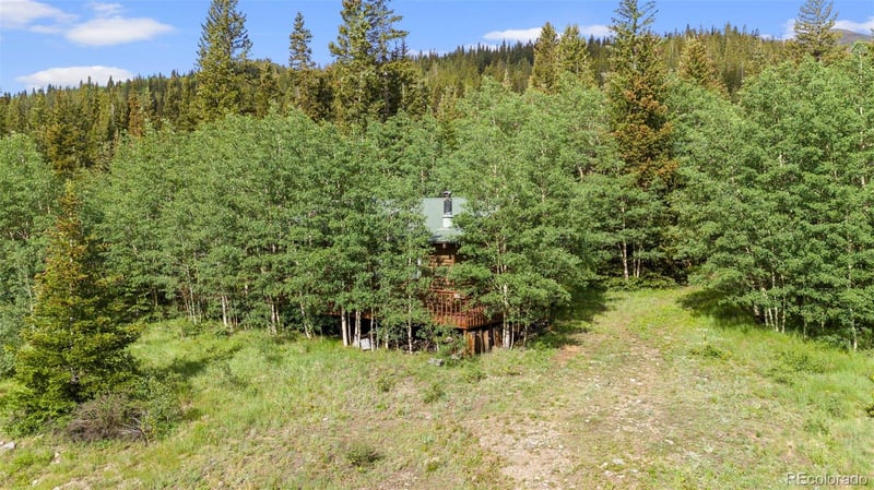 2895 River Dr, Alma, CO 80420