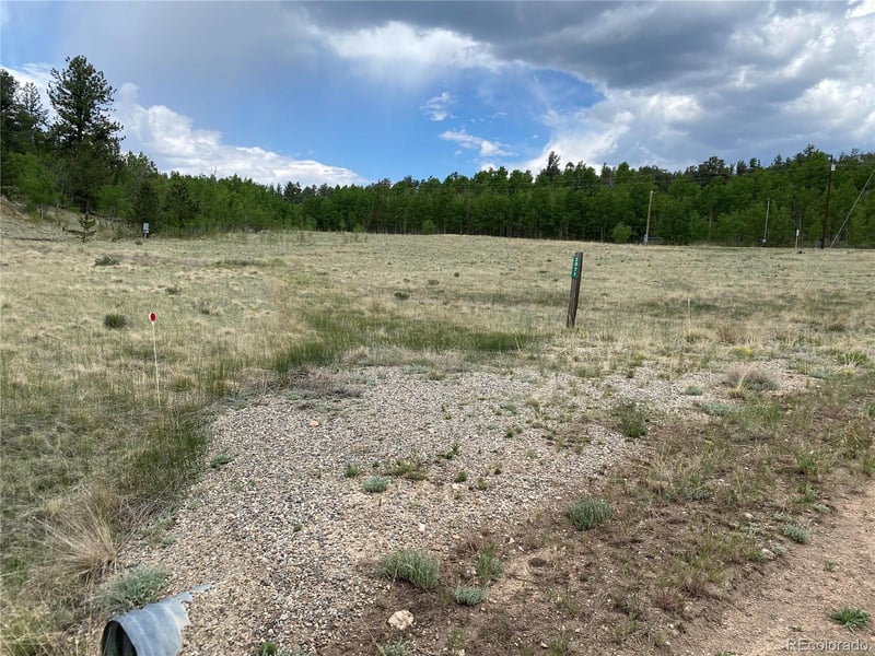 2071 Al Gulch Rd, Jefferson, CO 80456