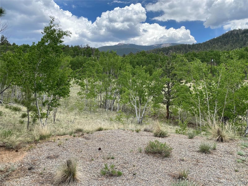 2071 Al Gulch Rd, Jefferson, CO 80456