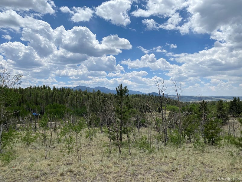 0 TBD Al Gulch Rd, Jefferson, CO 80456