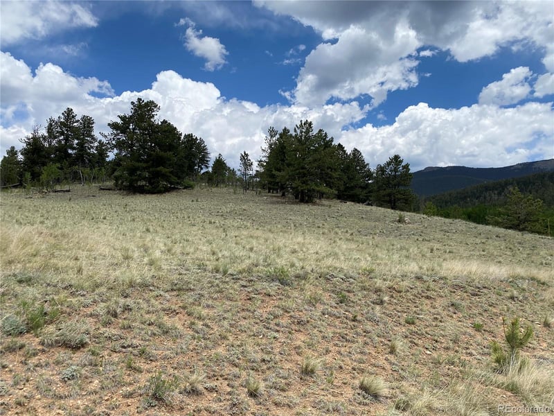 0 TBD Al Gulch Rd, Jefferson, CO 80456