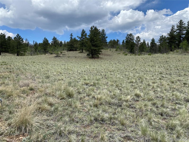 0 TBD Al Gulch Rd, Jefferson, CO 80456