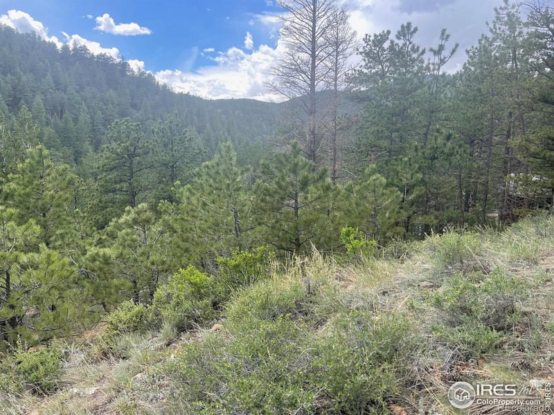 1111 Spruce Dr, Lyons, CO 80540