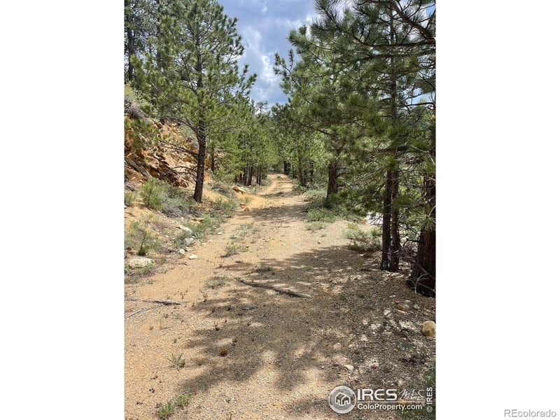 1111 Spruce Dr, Lyons, CO 80540