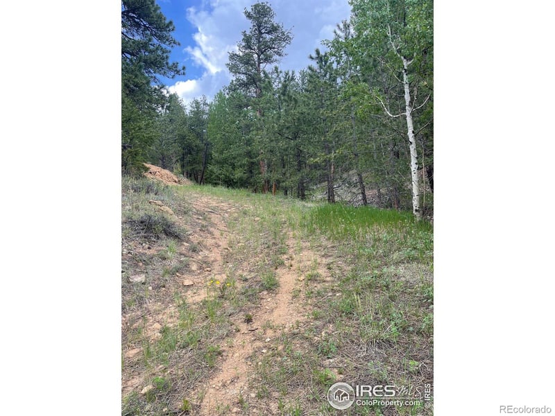 1111 Spruce Dr, Lyons, CO 80540